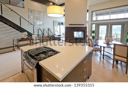Luxury modern kitchen with the living room and the fireplace at the back. Interior design.