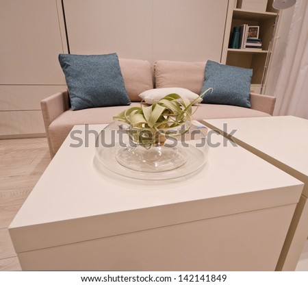 A coffee table with the vase and the couch, sofa at the background. Interior design.