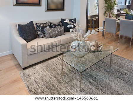 Luxury living, family room with the laminate floor and the rug. Interior design.
