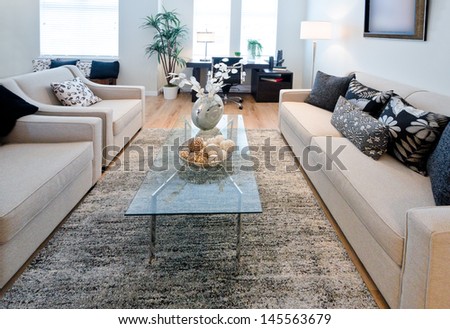 Luxury living, family room with the laminate floor and the rug. Interior design.