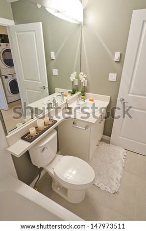 Nicely decorated modern washroom with the toilet and vase with flowers. Interior design. Vertical.