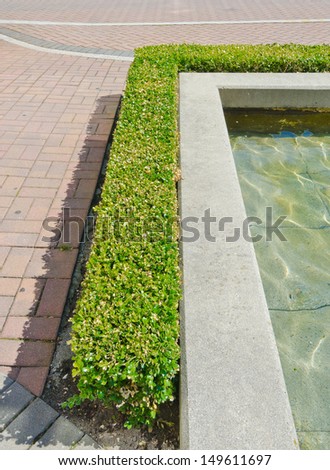 Landscape design. Fragment. Nicely trimmed bushes  around fountain in the park. Vancouver. Canada. Vertical.