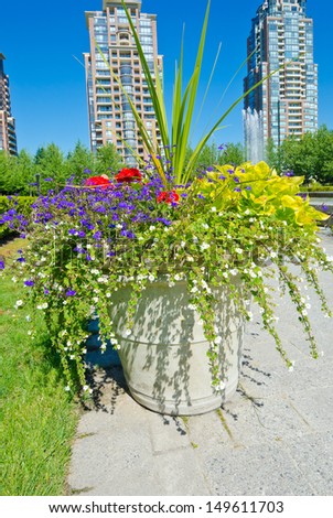 Landscape design.  Flower pot and nicely trimmed bushes in the park.  Vancouver. Canada. Vertical.