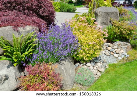 Nicely Decorated Colorful Flowerbed With Stones And Bushes As A Decorative Elements. Landscape Design.