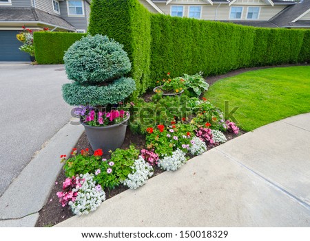 Some flowers on the flowerbed and nicely trimmed bushes and green fence in the corner of front yard. Landscape design.