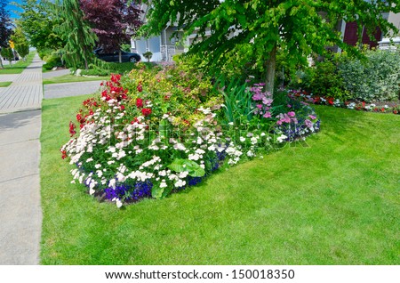 Nicely decorated colorful flowerbed and trimmed front yard lawn aside sidewalk. Landscape design.