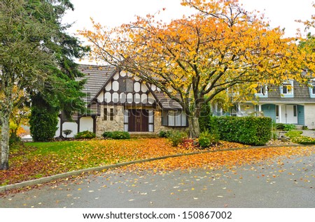 Front yard of the house covered with the leafs in a fall, autumn wet day. Vancouver, Canada.