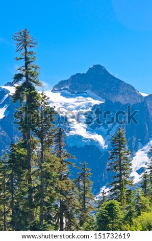 Mount Baker lands and wilderness. North America. Vertical.