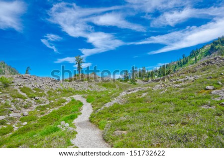 Trail at the Mount Baker lands and wilderness.  North America. Vertical.