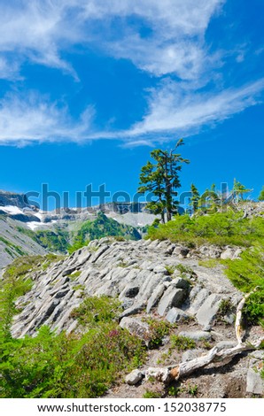Gorgeous mountain view. Rocky grounds at the Mount Baker lands and wilderness.  North America.
