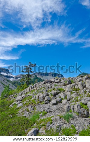 Gorgeous mountain view. Rocky grounds at the Mount Baker lands and wilderness. North America.