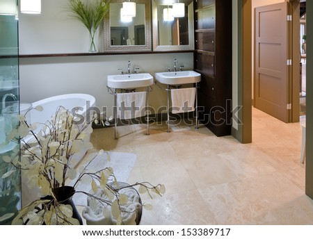 Interior design of the luxury modern bathroom with two sinks and marble floor and some decoration.