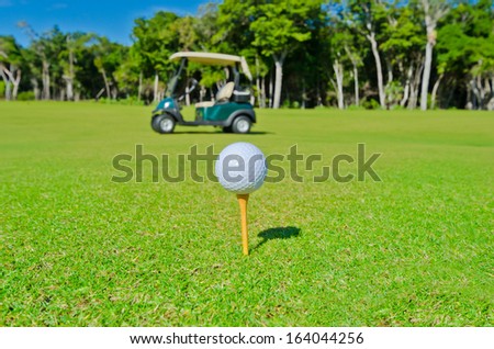 Beautiful golf course. Golf ball on the tee with the golf cart out of the focus as a background.