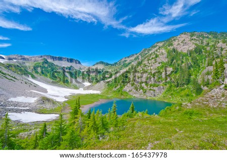 Great view at Mount Baker lands and wilderness with Bagley lake. North America. Vertical.