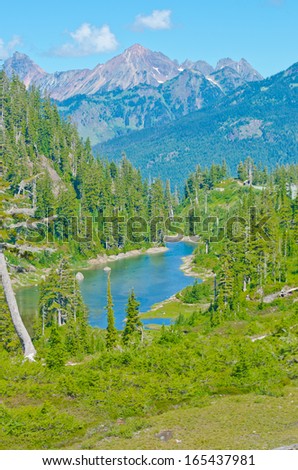 Great view at Mount Baker lands and wilderness with Bagley lake. North America. Vertical.