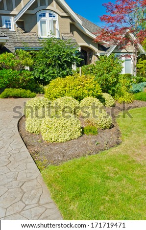 Nicely trimmed bushes in front of the house, front yard. Landscape design.