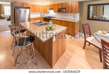 Outlook at the luxury nicely decorated modern kitchen. Interior design of a brand new house.