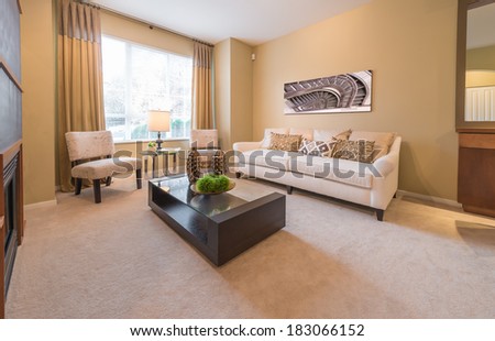 Luxury living room with sofa, couch and coffee table with decorative vases. Interior design.