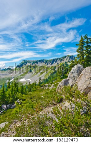 Gorgeous view, outlook, panorama at the Mount Baker lands and wilderness and rocky grounds. North America.