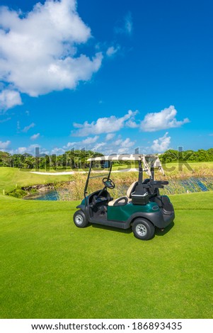 Golf cart, buggy at the golf course. Luxury mexican resort. Bahia Principe, Riviera Maya. Vertical.