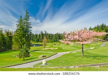 Beautiful golf course at cherry blossom time in a sunny day with dark blue sky and clouds. Canada, Vancouver.
