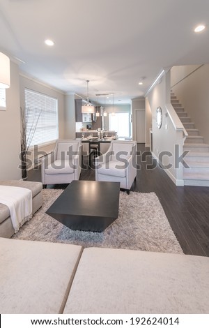 Outlook at the luxury modern living suite : family room  with two chairs  and the kitchen at the back. Interior design of a brand new house. Vertical.