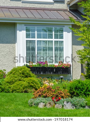 House window and nicely trimmed and landscaped yard. Landscape design.