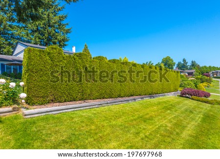Nicely trimmed and landscaped 