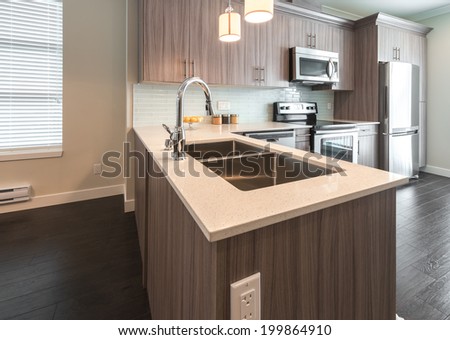 View, outlook at the luxury nicely decorated modern kitchen. Interior design of a brand new house..