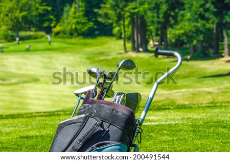 Golf clubs in the bag at the beautiful golf course. Fragment.