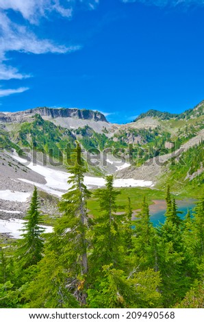 Gorgeous view at the valley with lakes and snow at mountain lands and wilderness. North America. Vertical.