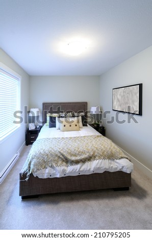 Modern comfortable and elegant luxury master bedroom. Interior design. Vertical.