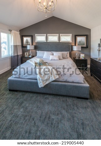 Modern comfortable, nicely decorated and elegant luxury master bedroom. Interior design. Vertical.
