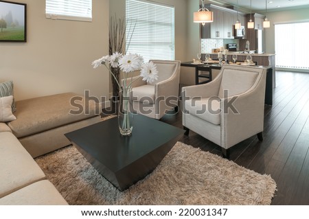 Luxury modern living suite : family room  with two chairs and some flowers in the vase on the coffee table  and the kitchen at the back. Interior design of a brand new house.