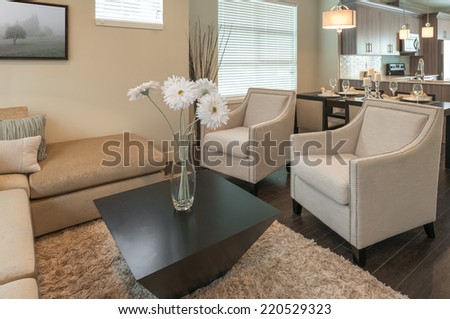Luxury modern living suite : family room  with two chairs and some flowers in the vase on the coffee table  and the kitchen at the back. Interior design of a brand new house.