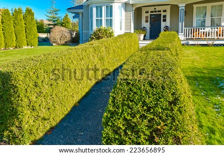 Nicely trimmed bushes in front the house.  Landscape design.