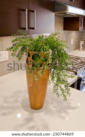 Wooden vase with some decorative plants on the kitchen counter. Interior design.