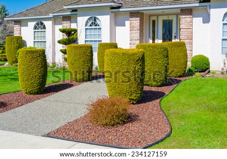 Nicely trimmed bushes at the entrance ( doorway ) to the custom built big luxury house in a residential neighborhood. Landscape design.
