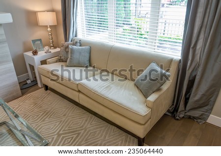 Sofa, couch with pillows in the living room. Interior design.