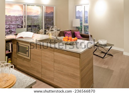 Interior design of a luxury modern kitchen. Counter with elements of the living room at the back.