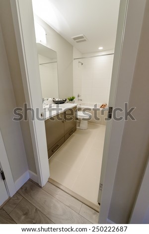 Nicely decorated modern washroom, bathroom, with the toilet sit, sink, some plants on the shelf. Interior design.