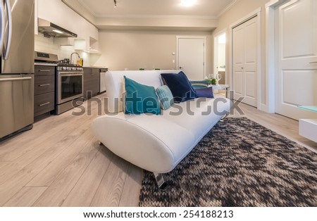 Couch, sofa with some pillows in the family, living room with the luxury modern kitchen and dining table at the back. Interior design.