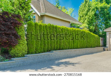 Green fence from evergreen plants dividing the street and private property Keeps privacy and security Landscape trimming design Green fence from evergreen plants dividing the street and private property Keeps privacy and security Landscape trimming design