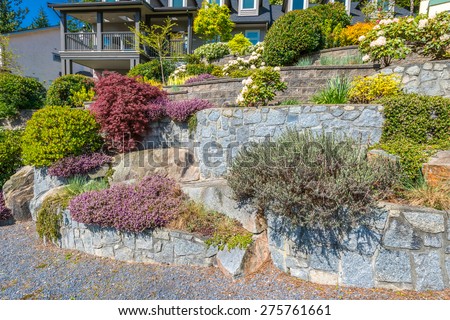 Flowers, bushes and stones in front of the house, front yard. Landscape design.