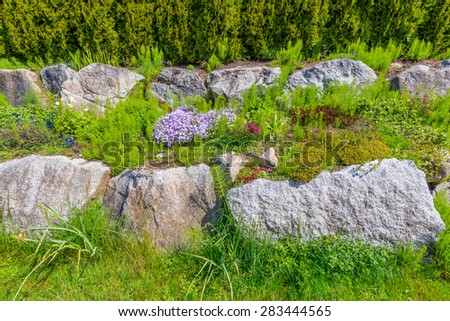 Trimmed bushes, flowers and stones in nicely decorated front yard, lawn of the house. Landscape design.