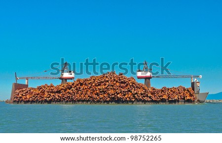 Raw pine wood logs (timber), loaded and shipping waterway  by the barge with cranes  and ready to begin to be transformed into lumber and paper products.