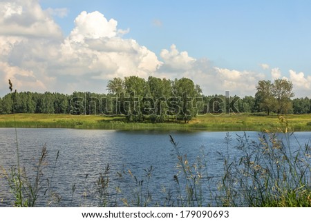 Russian nature. Lake in Siberia. July. Novosibirsk. Russia.