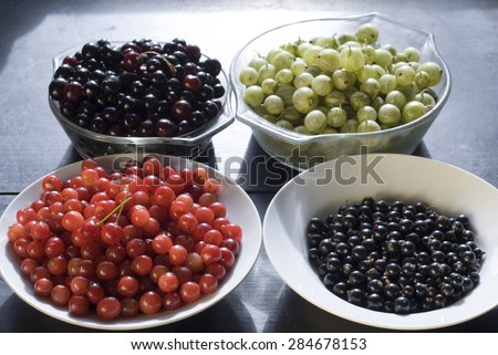 A bowl of black currants, of red cherries, of black cherries and gooseberries: summer fruits garden harvest in Sheffield, UK