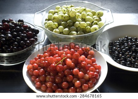 A bowl of black currants, of red cherries, of black cherries and gooseberries: summer fruits garden harvest from S13 Sheffield, UK