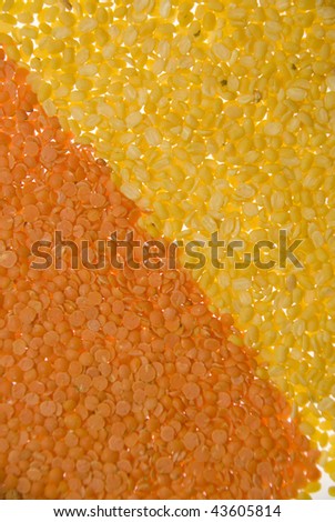 Red Lentils and Yellow Lentils Isolated on a White Background